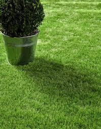40mm Dense Pile Artificial Grass for High-Traffic Lawns