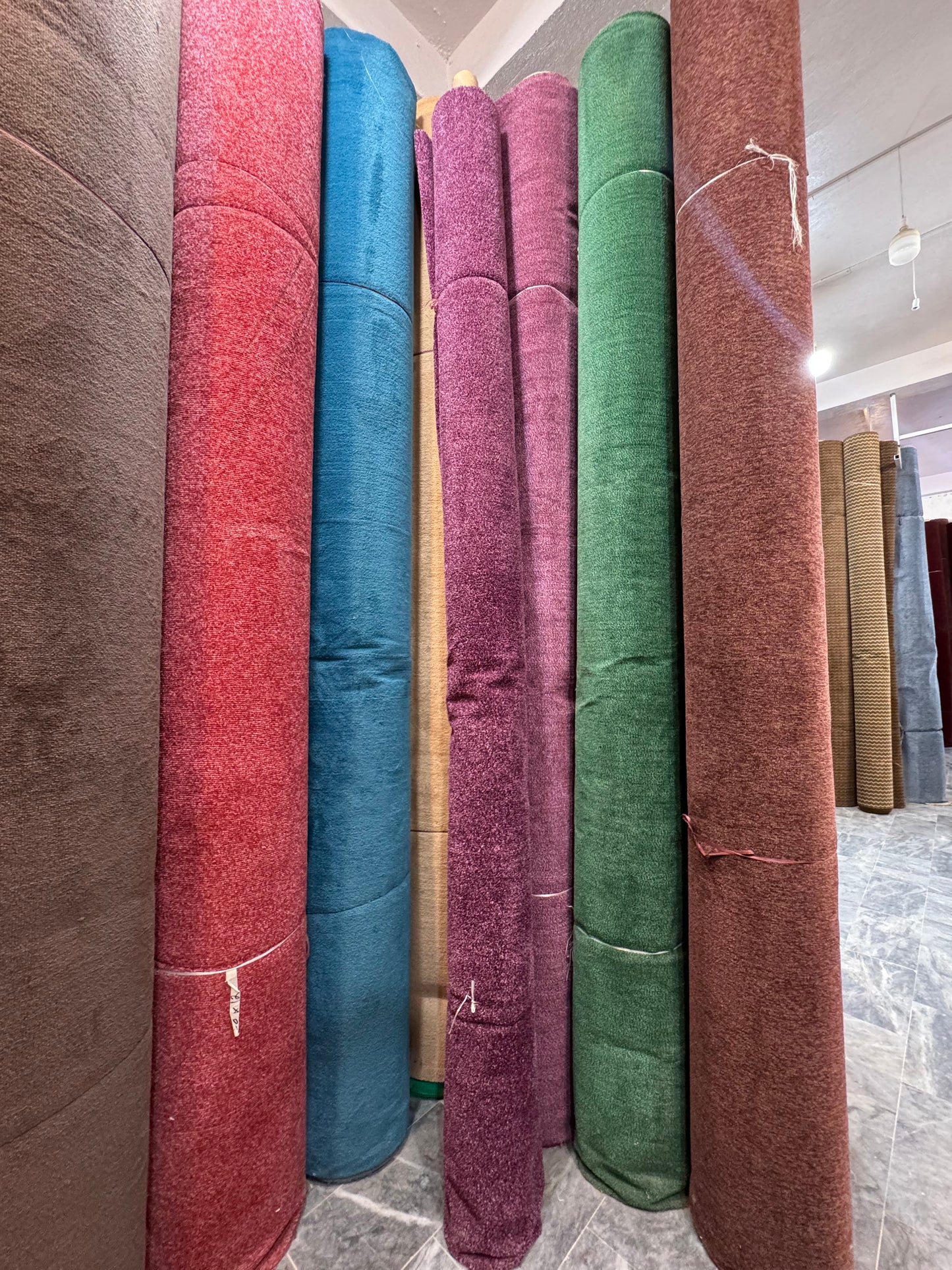 Wall to Wall | Versatile Comfort Carpet, Lasting Quality!