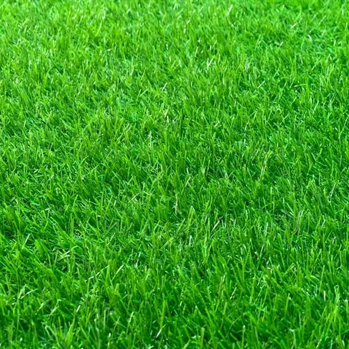 20mm Medium-Height Artificial Lawn for Residential Gardens