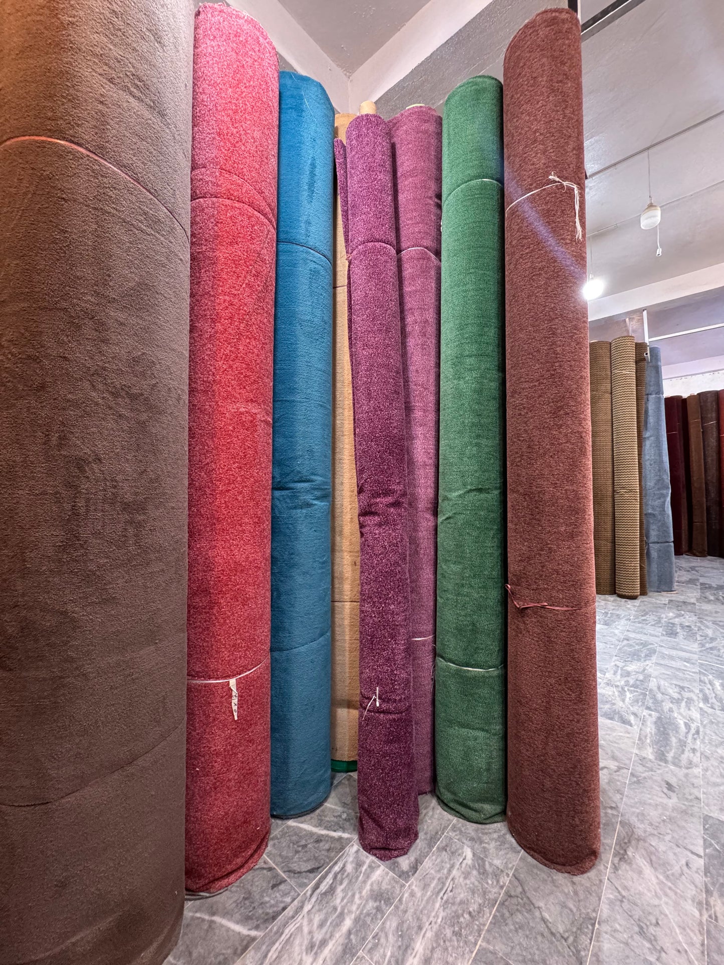 Wall to Wall | Versatile Comfort Carpet, Lasting Quality!