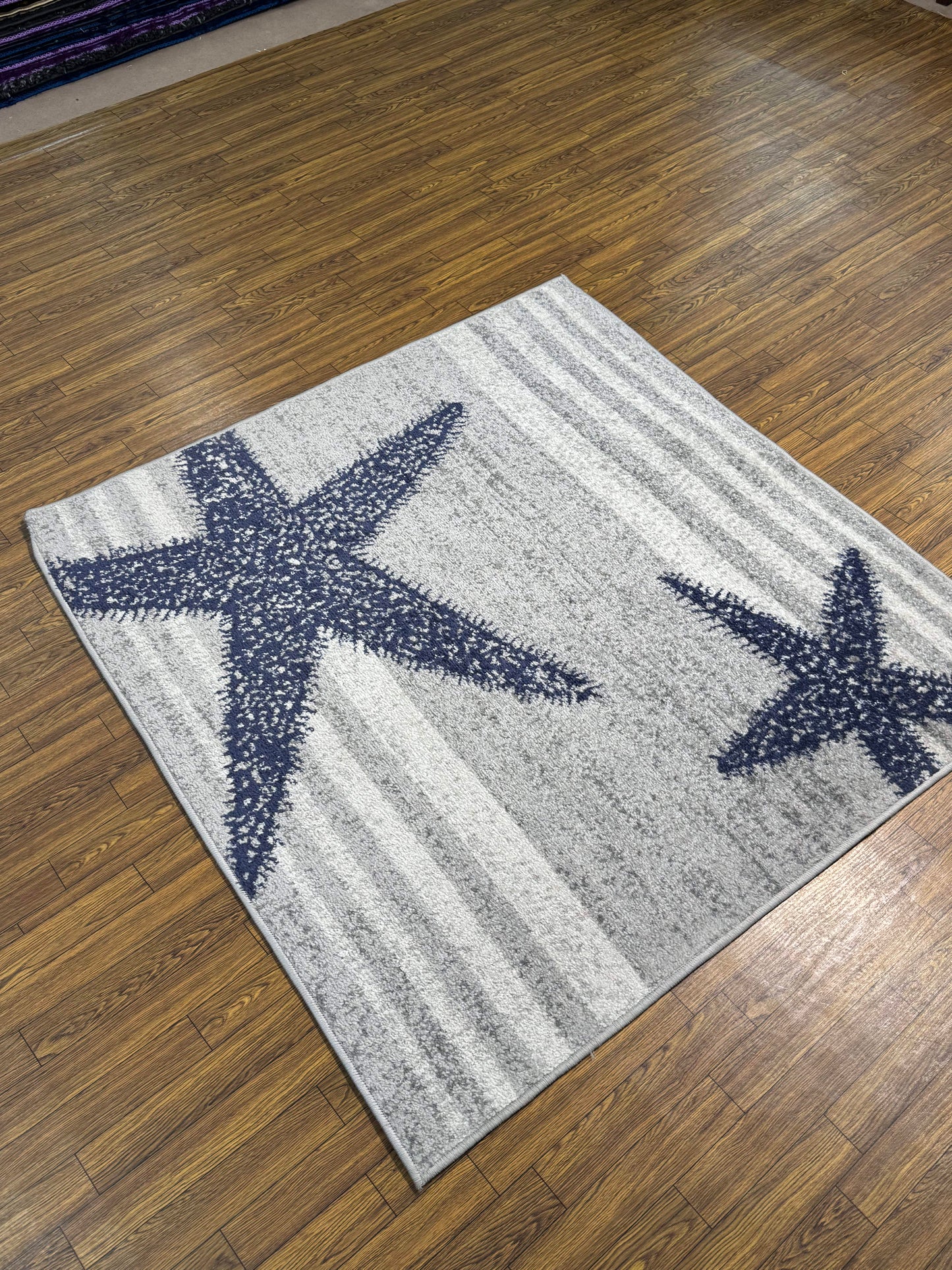 4x6 Rug